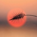 덕남축산 이미지