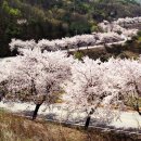 청우산방 이미지