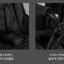 오이스터 이미지