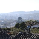 라벨라컴퍼니