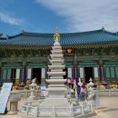 인제목장 이미지