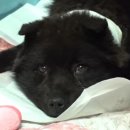 부은농장 이미지