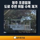 청주 조경업체 도로 주변 위험 수목 제거 과정 현장