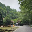 와룡자연휴양림 | 장수 와룡 자연휴양림 솔직후기 🏞️