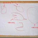 나무안경 이미지