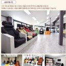 카메이저