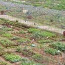 광명농장 이미지