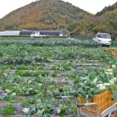 상옥농장2 이미지