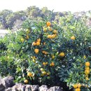 광지축산 이미지