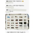 이너피스스테이