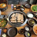 노란돼지