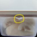 햇병아리어린이집 | 바퀜 진공 밀폐용기 내돈내산 솔직 후기(단점 편)