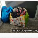 예그린세탁 이미지