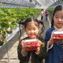 김정호 농장 이미지