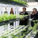 무네미길 이미지