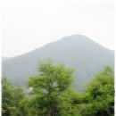 푸른숲속유치원 이미지