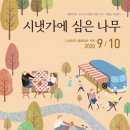 풍삶
