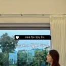 스테이빌레하임 이미지