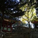 원시(原始)-기호( | 【 강원 】동해 … ( 5 ) 삼척 척주동해비 및 평수토찬비 (강원도유형문화재 제38호)