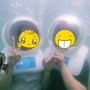 하모중앙로 이미지