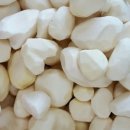 애정농장 이미지