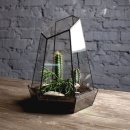 미니정원(테라리움) 이미지