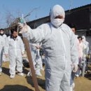 배양1리 이미지