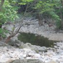 김용사 야영장 이미지