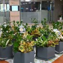 초록요양원 이미지