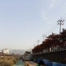 불광천 이미지