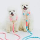 멍냥의민족 이미지