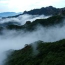 월출산주유소 이미지