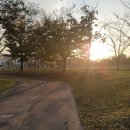 미단시티8호 근린공원 이미지