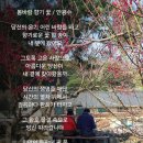 바람향기 이미지