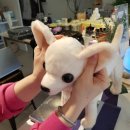 아로마천연제품 이미지