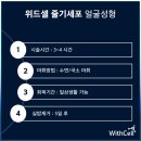 위드셀의원 이미지