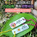 인천동부교육지원청 인천동부특수교육지원센터 마음이 따뜻해지는 특수교사 연수🍀 선생님께 폭싹...
