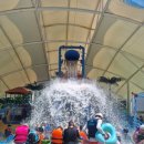 로뎀태권도 이미지