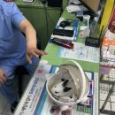 비비펫동물병원 이미지