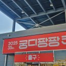 ˗ˋˏ 2025 SETEC 궁디팡팡 캣페스타 ˎˊ˗