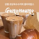 세븐일레븐 강릉제일점 | 강릉 카페 초당옥수수커피 맛집 갤러리밥스 오픈런 웨이팅