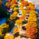 대강오토캠핑장 이미지