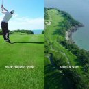 파인골프 이미지