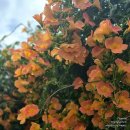 오상경로당 이미지