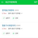 수완동 왕버들 이미지