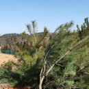 솔내음농장 이미지