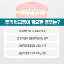 이,정치과 네이버블로그