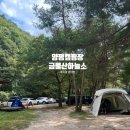 금물산하늘소캠프 이미지