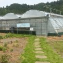 김영한농장 이미지