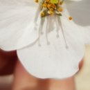 샘머리1단지 이미지